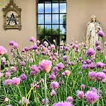 Patrimonium Wellness Διαμέρισμα Tiszaszentimre