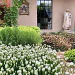 Διαμέρισμα Patrimonium Wellness