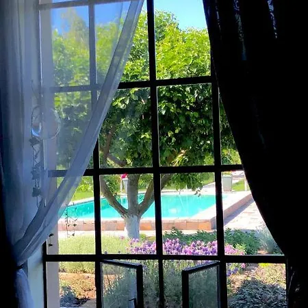 Appartement Patrimonium Wellness